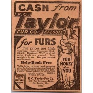 FC Taylor Fur Co Cash From Taylor For Furs St Louis MO 1917 Clipping SAI4-M2